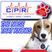 CPR Pest Management Services - Builder Melbourne 0