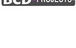 Bcd Projects Pty Ltd - thumb 0