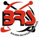 BRS Gold Coast Window Replacement  Handrails - Builder Melbourne
